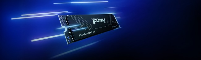 Kingston Fury Renegade G5 8TB