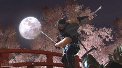 media/04/ninjagaiden2_bilder_140438t.jpg