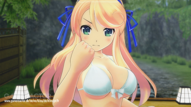 Senran Kagura: Peach Beach Splash