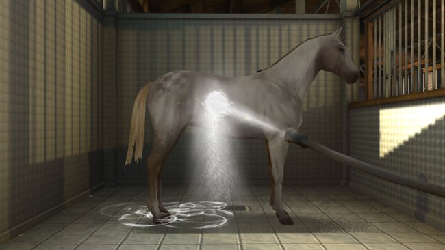 My Horse & Me 2