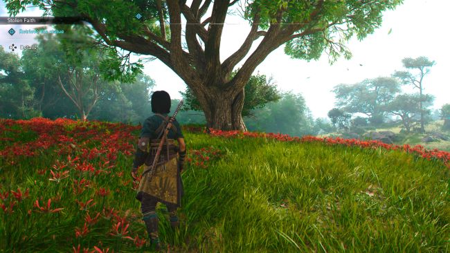 Assassin's Creed Shadows