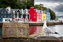 media/09/scotlandcallsnationwide_4610973t.jpg