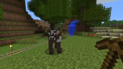 media/10/minecraft_411071t.jpg