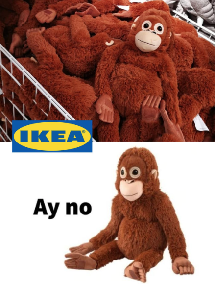 Kuka on Punch the Monkey? Nuori makakki, josta on tullut melkein Donald Trumpia tunnetumpi