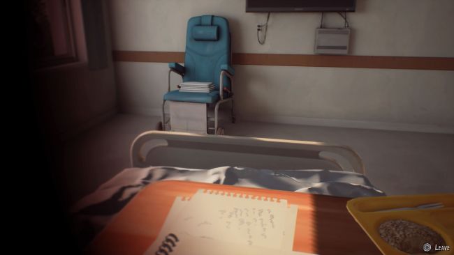 Life is Strange 2
