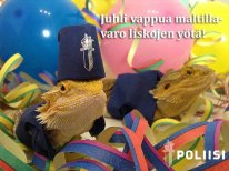 media/20/hyvaavappuagamereactorin_1142044t.jpg