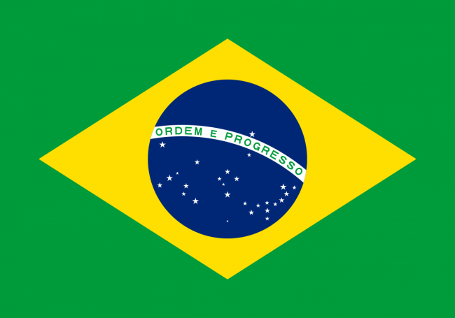 Viime vuonna Brasilian metsäkato laski alimmalle tasolleen sitten vuoden 2019