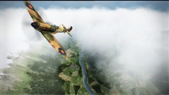 Related Image