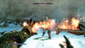 The Elder Scrolls V: Skyrim