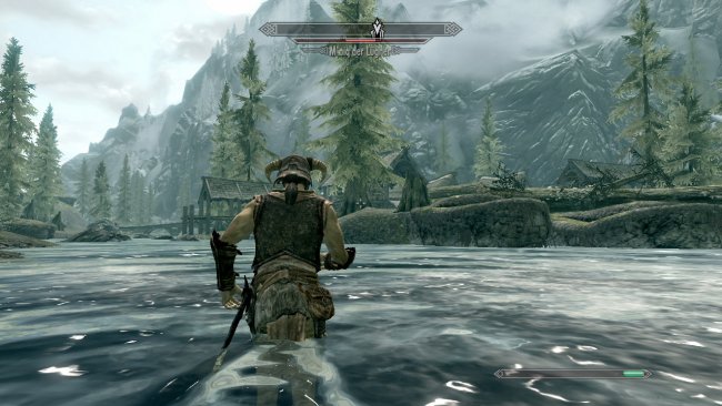 The Elder Scrolls V: Skyrim