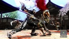 media/22/ninjagaiden2_billeder_132261t.jpg