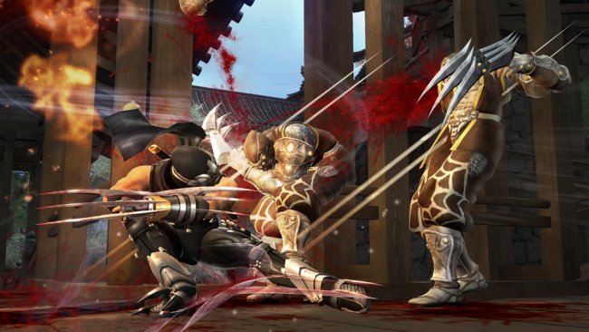 Ninja Gaiden 2