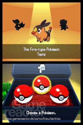 Pokémon Black/White