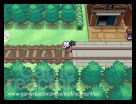 Pokémon Black/White