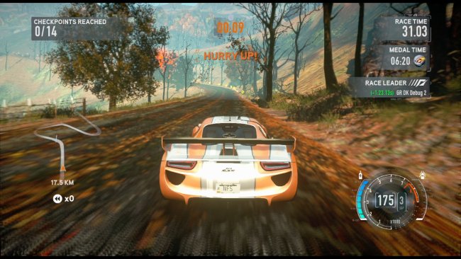 Need for Speed: The Run