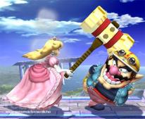 Super Smash Bros. Brawl