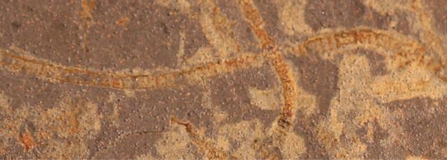 Tutkijat löysivät jälkiä fotosynteettisestä elämästä, joka on 1 miljardi vuotta aiemmin tunnettua vanhempaa