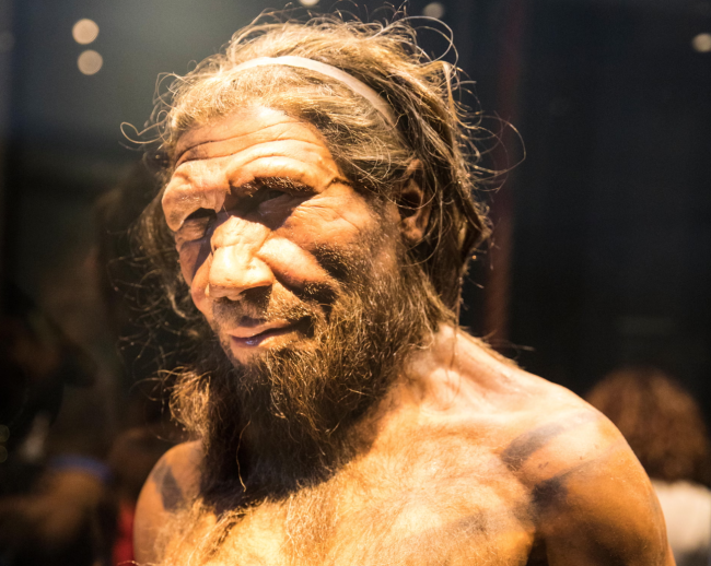 Tutkimuksen mukaan neandertalinihmiset parittelivat useammin ihmisnaaraiden kanssa