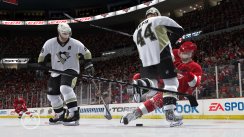 media/33/5nhl11_223350t.jpg