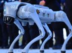 Robottikoirat vartioivat vuoden 2026 MM-kisoja