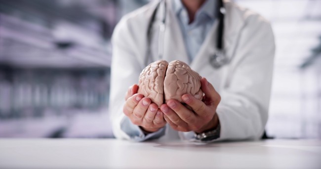 Tutkijat luovat ensimmäisen yksityiskohtaisen atlaksen siitä, miten ihmisen aivot kehittyvät alkiosta aikuisuuteen