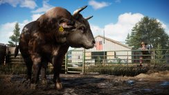 media/35/farcry5_2103513t.jpg