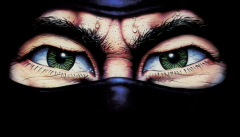 media/35/lastninjahd_1553563t.png