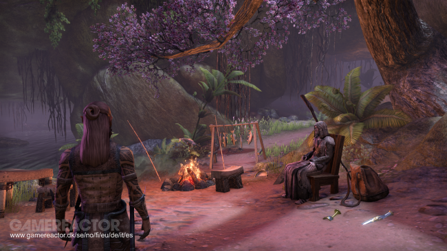 The Elder Scrolls Online