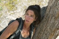 media/36/fearwalkingdead__1963623t.jpg