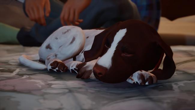 Life is Strange 2
