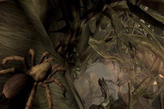 Deadly Creatures