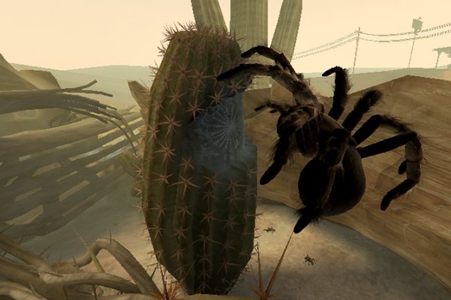 Deadly Creatures