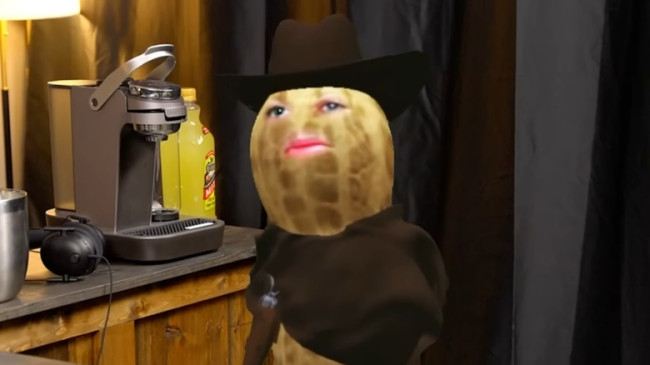 TheBurntPeanut ei paljasta kasvojaan, vaikka MrBeast tarjoaa hänelle miljoona dollaria.