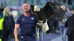 media/40/laziofiresfalconer_4444003t.jpg