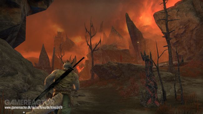 The Elder Scrolls Online: Blackwood