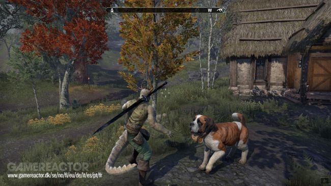 The Elder Scrolls Online: Blackwood