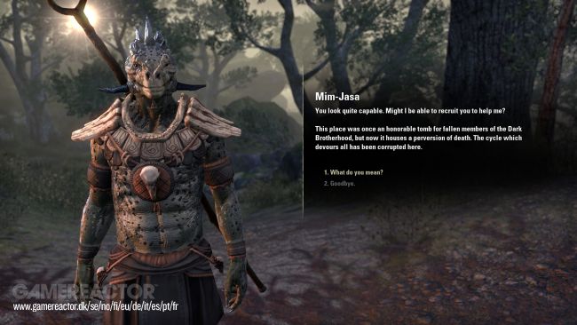 The Elder Scrolls Online: Blackwood