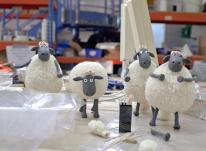 media/41/shaunsheepflocks_334161t.jpg