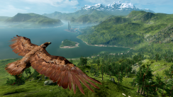 media/41/wild_1584143t.png