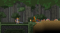 media/42/starbound_1724243t.png