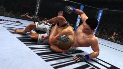 media/43/ufc2010_204398t.jpg