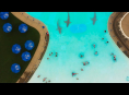 Water Park Shark