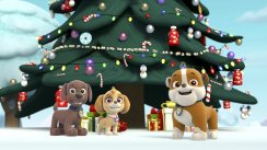 media/45/pawpatrol_season_2144553t.jpg