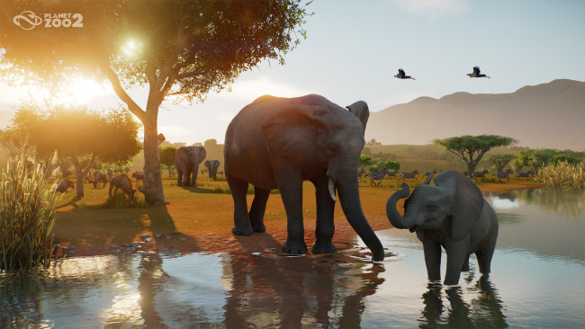 Frontier Planet Zoo 2:n suojelutoimista: 