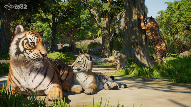 Planet Zoo 2 ennakossa, kunnianhimoinen jatko-osa, joka nostaa Planet-kaavan korkeammalle