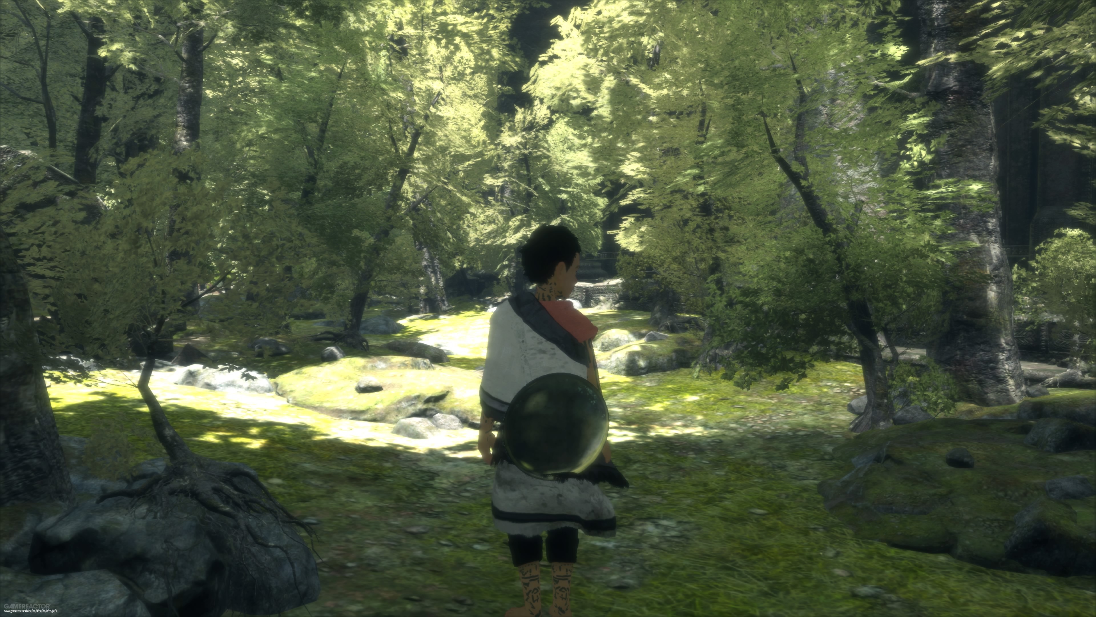 The Last Guardian