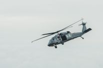 media/47/polandhaltsblack_4574743t.jpg