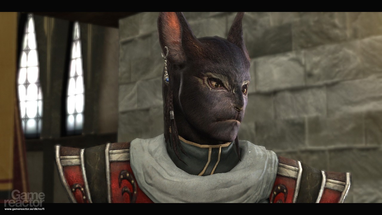 The Last Remnant