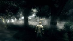 media/49/alonedark_154996t.jpg