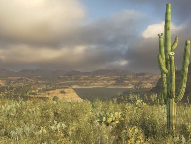 Baja: Edge of Control